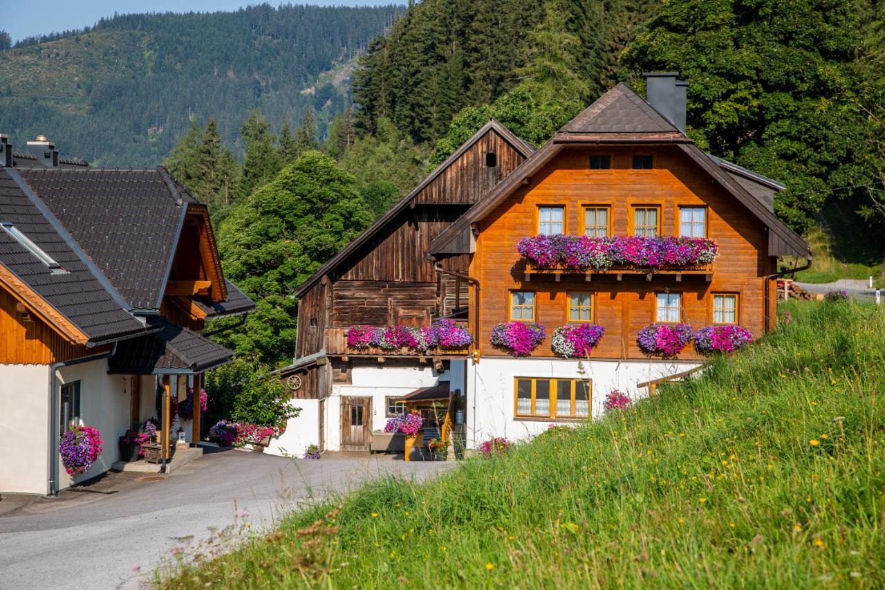 Bio-Bauernhof Grundlehnerhof Guest House Ramsau am Dachstein Exterior foto