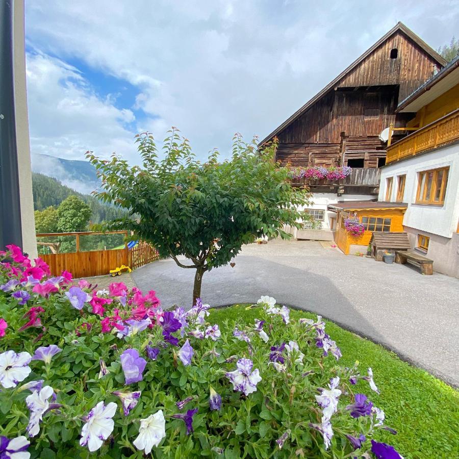 Bio-Bauernhof Grundlehnerhof Guest House Ramsau am Dachstein Exterior foto